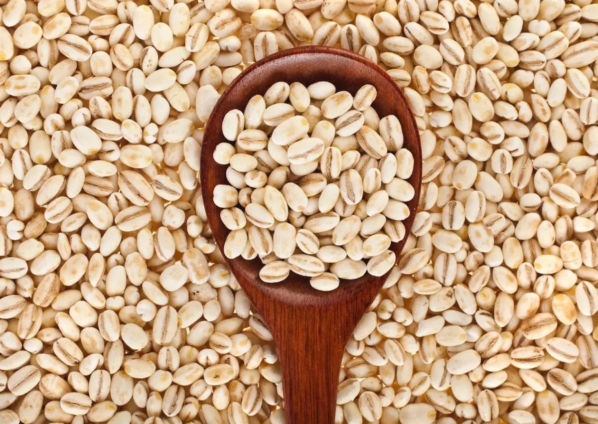 Barley