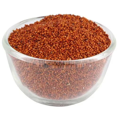 Finger millet / Ragi