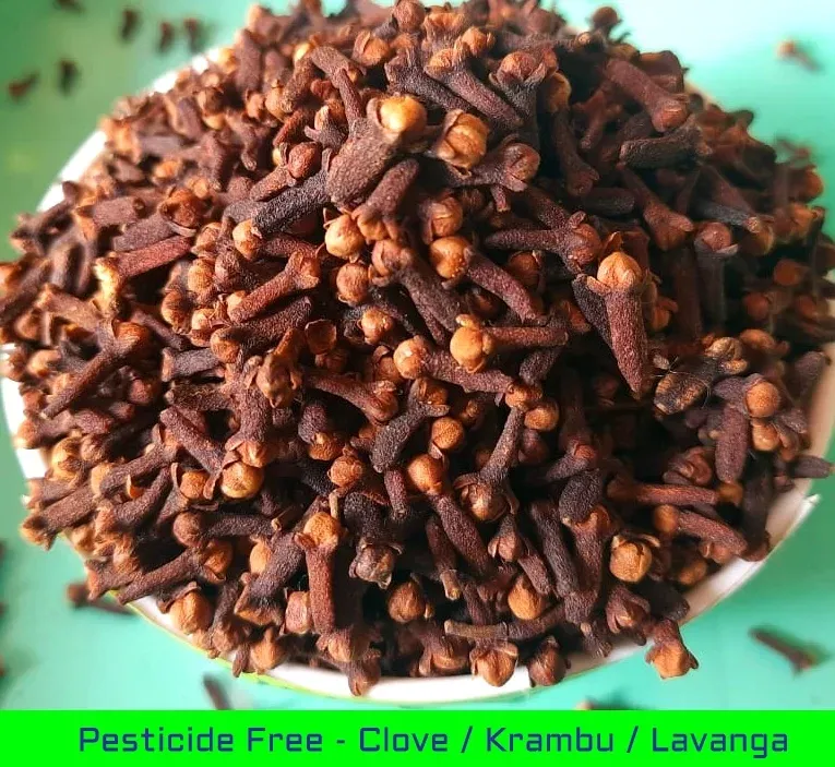 Nilgiri Clove