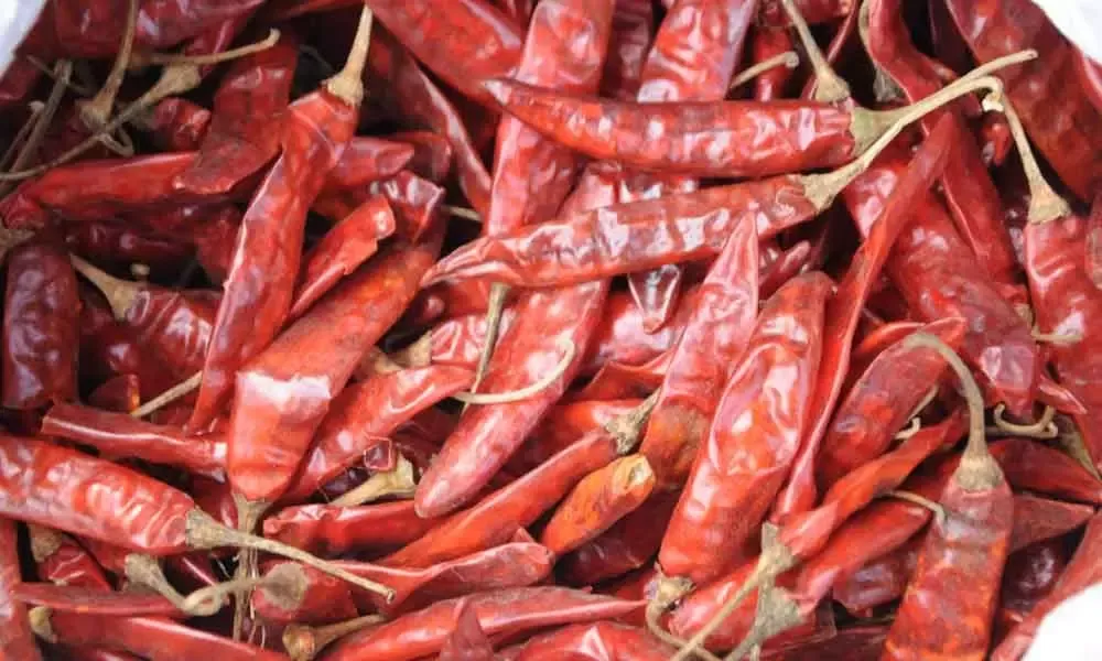 Red Chilli