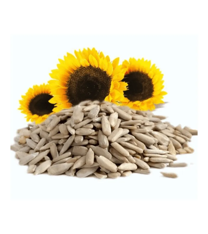 Sunflower seeds 100g