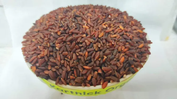 Maapilai samba rice / Red rice
