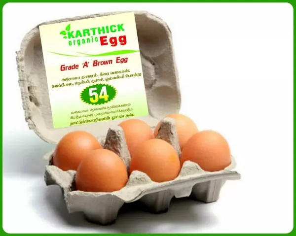 Organic Brown Egg