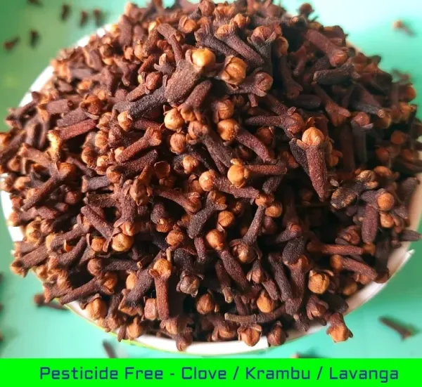 Nilgiri Clove