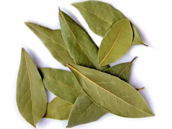 Bay Leaf / Biriyani leaf
